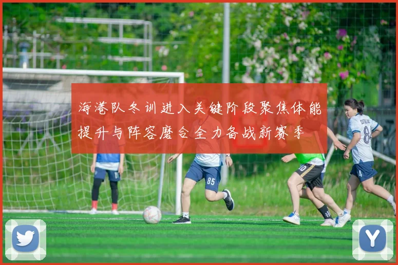 海港队冬训进入关键阶段聚焦体能提升与阵容磨合全力备战新赛季