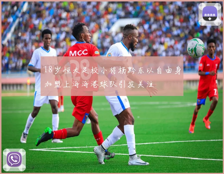 18岁恒大足校小将杨黔东以自由身加盟上海海港球队引发关注