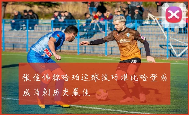 张佳伟称哈珀运球技巧堪比哈登或成马刺历史最佳